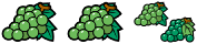 ハイカ101のブドウ