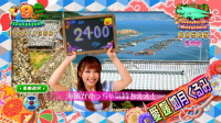 パチンコPスーパー海物語 IN JAPAN2のご当地ラウンド演出の画像