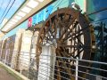 取材日:11/10 真双龍 in DAMZ六日町店