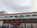 取材日:11/24 真双龍 in 楽座本店
