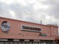 取材日:11/30 真双龍 in パチンコ玉三郎坂井店