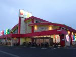 取材日:1月12日 双龍玉 in ビーデル千葉成東店