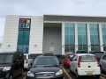 取材日:1月12日 双龍玉 in デルゼビッグサイト新潟竹尾店