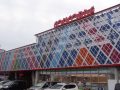 取材日:1/25 双龍 in コンコルド静岡緑が丘店