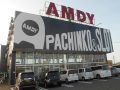 取材日:3月1日 双龍玉 in アムディ三ツ屋