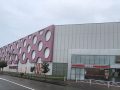 取材日:3/11 真双龍 in ホームランGOGO 野々市店