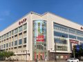 取材日:9/16 真双龍 in ホームランGOGO金沢店