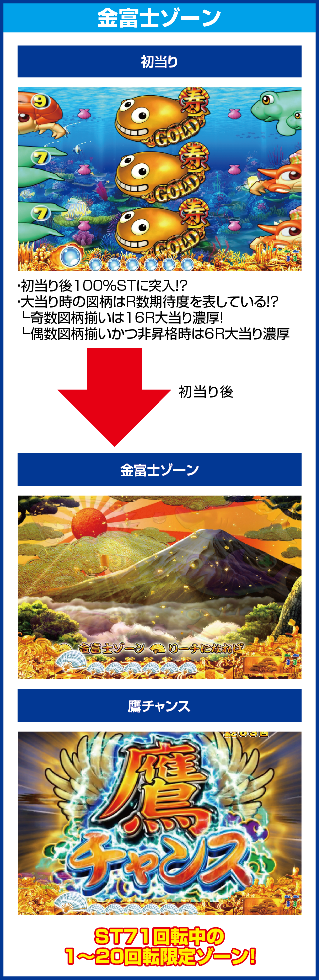 CRスーパー海物語IN JAPAN　金富士バージョン 319ver.のピックアップポイント
