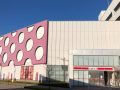 取材日:12/9 真双龍 in ホームランGOGO 野々市店