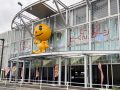 取材日:4月5日 双龍玉 in ピーアーク相模原ピーくんステージ