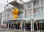 取材日:4月5日 双龍玉 in ピーアーク相模原ピーくんステージ