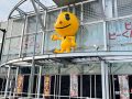 取材日:5月26日 双龍玉 in ピーアーク相模原ピーくんステージ