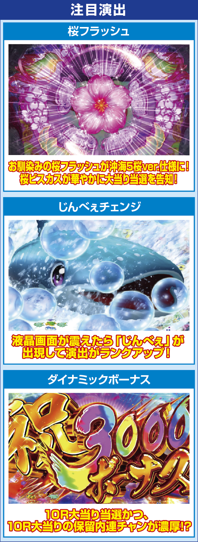 Pスーパー海物語 IN 沖縄5 桜ver.199のピックアップポイント