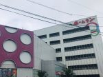 取材日:7/13 真双龍 in ホームランGOGO 野々市店