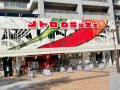 取材日:10月1日 双龍玉 in メトログラッチェ本店